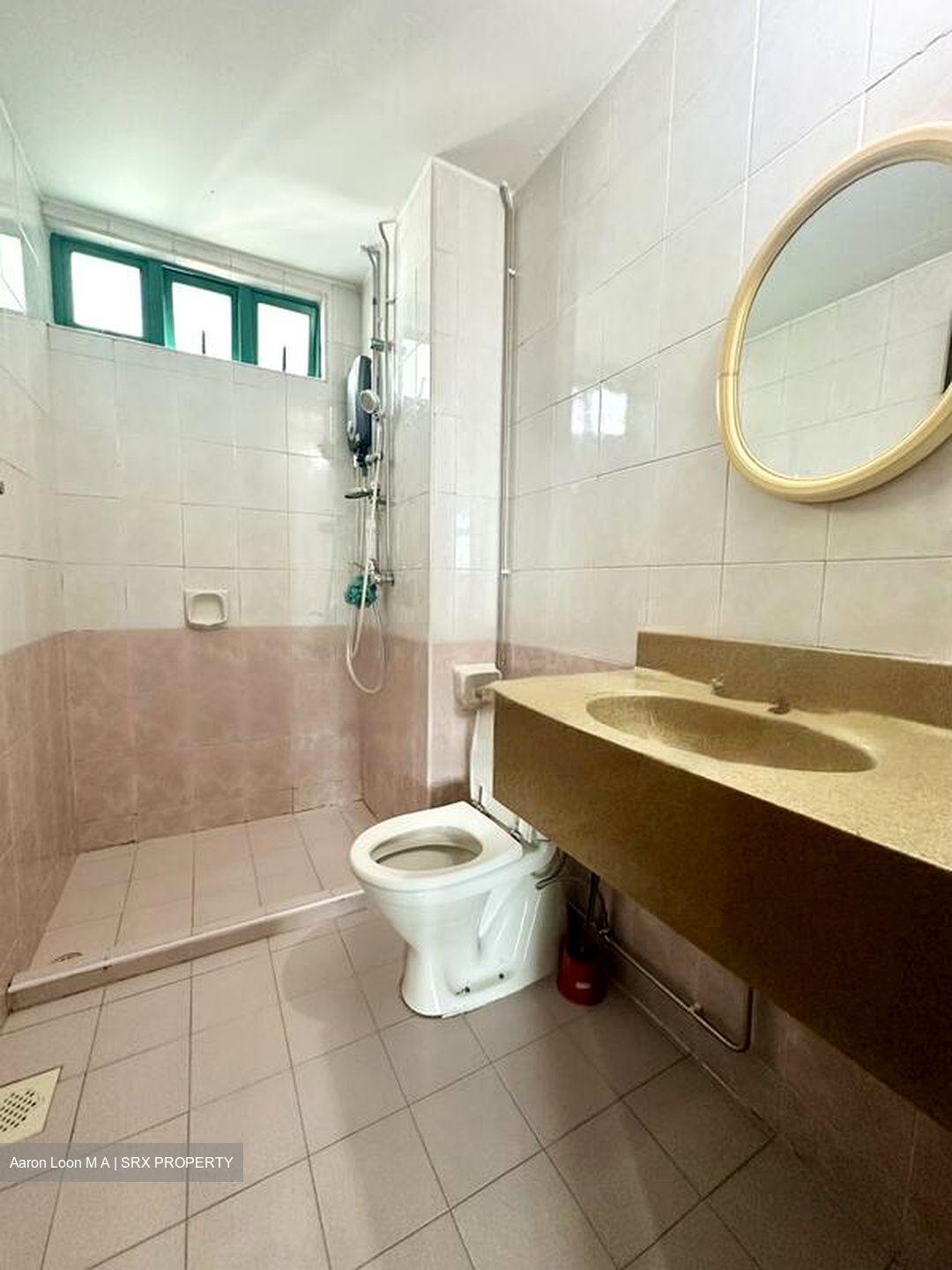 Fortune Park (D19), Condominium #544432681